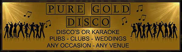 Pure Gold Disco - Mobile DJ - Wedding DJ - Birthday party DJ - DJ Cornwall